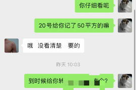 陇南陇南的要账公司在催收过程中的策略和技巧有哪些？